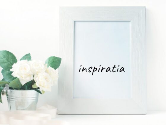 Inspiratia poate fi definita ca o solutie a unei probleme sau o idee geniala la care trebuie doar sa lucrezi.