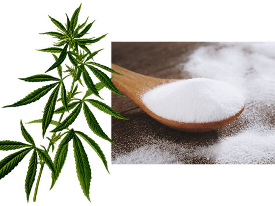 In anumite produse de infrumusetare, pot exista de multe ori ingrediente neobisnuite si asta pentru ca nu prea le gasim in astfel de conjuncturi in mod normal.