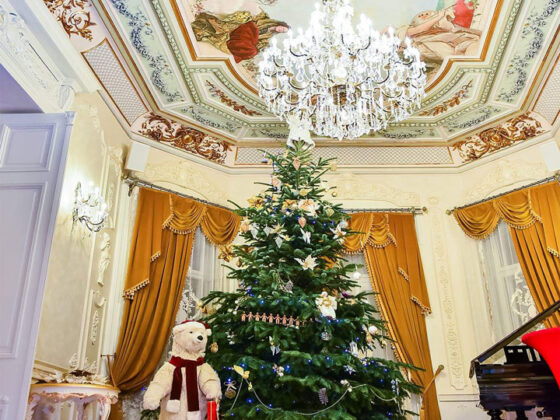 La Noblesse Palace Christmas Fair, vizitatorii au fost intampinati in atmosfera fermecata a palatului cu oferte de cadouri pentru toate varstele.