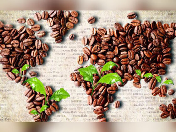 Ziua Internationala a Cafelei marcheaza conform http://www.ico.org, lunga istorie a bauturii si proprietatile boabelor de cafea.