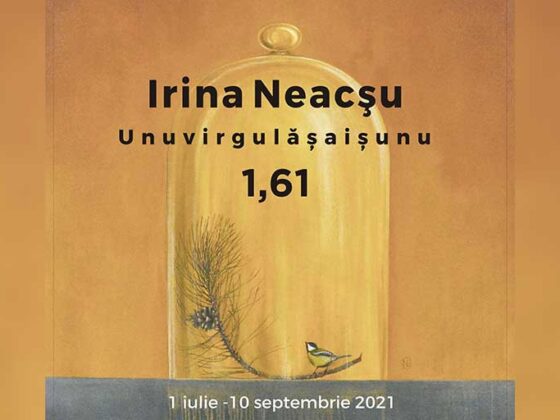1,61: Unuvirgulasaisunu, astfel este intitulata expozitia Irinei Neacsu si reuneste o serie de lucrari in ulei si acuarela,