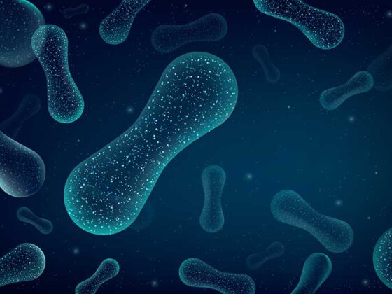 obiomul intestinal sanatos si variat este esential pentru starea noastra generala de sanatate si pentru o stare de bine constanta,