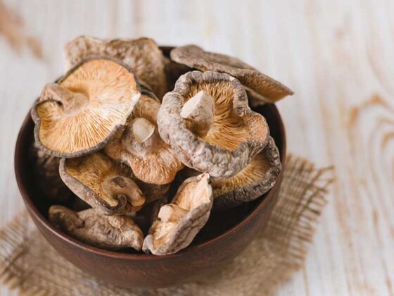 Ciupercile comestibile sunt bogate in compusi bioactivi inclusiv biochimicele (alcaloizi, acizi fenolici, flavonoide, carotenoide), fibre, polizaharide, seleniu, vitamine (niacina, tiamina, riboflavina, acid ascorbic si vitaminele B si D) si antioxidanti esentiali ergotioneina si glutation ...