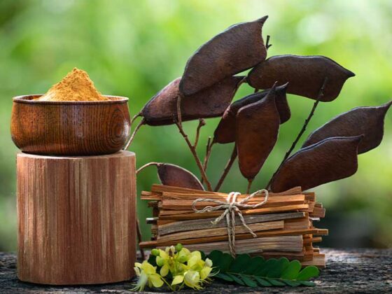 Ayurveda este un sistem de medicina holistica ce dateaza in India cu peste 5000 de ani in urma si a carui scop este pastrarea trupului si a mintii in echilibru.