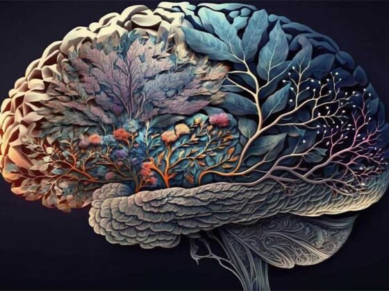 Longevitatea cognitivă este influenţată de exerciţiile cardiovasculare ce oferă beneficiile cunoscute, dar ele merg mai departe, oferind şi beneficii cognitive.