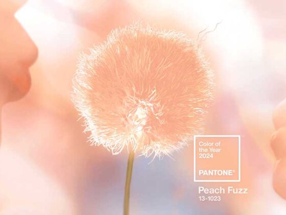 Peach Fuzz PANTONE 13-1023 este culoarea anului 2024.