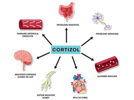 Cortizolul trece prin suişuri şi coborâşuri care corespund stării de somn/ veghe ce caracterizează omul, iar problemele de sănătate apar când ai parte de un nivel mai mare al nivelului de cortizol comparativ cu modelul tău obişnuit.