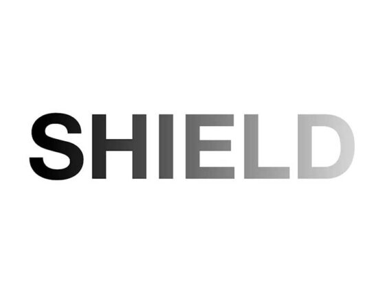 Nouă temă de la Research Space - Shield aduce în atenţie întrebări atavice ce au legătură cu ceea ce gândim şi facem: cine suntem? unde suntem? de unde venim? unde mergem?