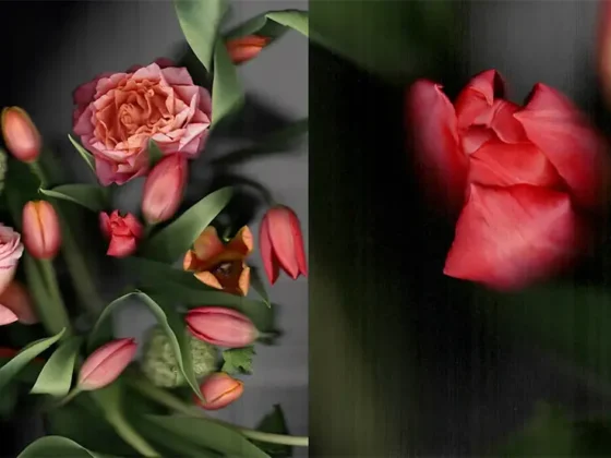 The Sound of Fragrance se va axa pe două căi ce vor cufunda spectatorul în experiențe senzoriale abstracte și inovatoare, unul al tăcerii - olfactiv și celălalt va fi dedicat zgomotului în parfum și muzică.